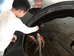 -唐廊烤鸭店(工体店)