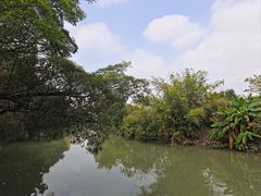 -小洲村