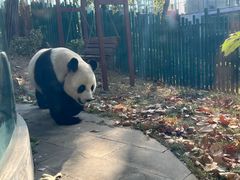 -大连森林动物园