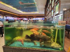 -聚福宝合苑食府(南头镇店)