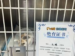 -达爱动物医院·犬猫分区·CT·复杂眼科(远洋山水分院)