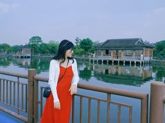 -鹅湖玫瑰文化园