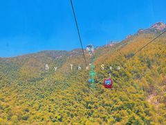 -紫藤园·天目湖大鱼头(南山竹海店)