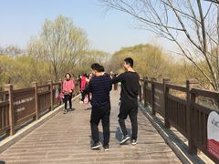 -北京麋鹿生态实验中心