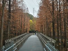 -福道