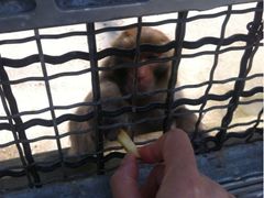 -鄂尔多斯野生动物园