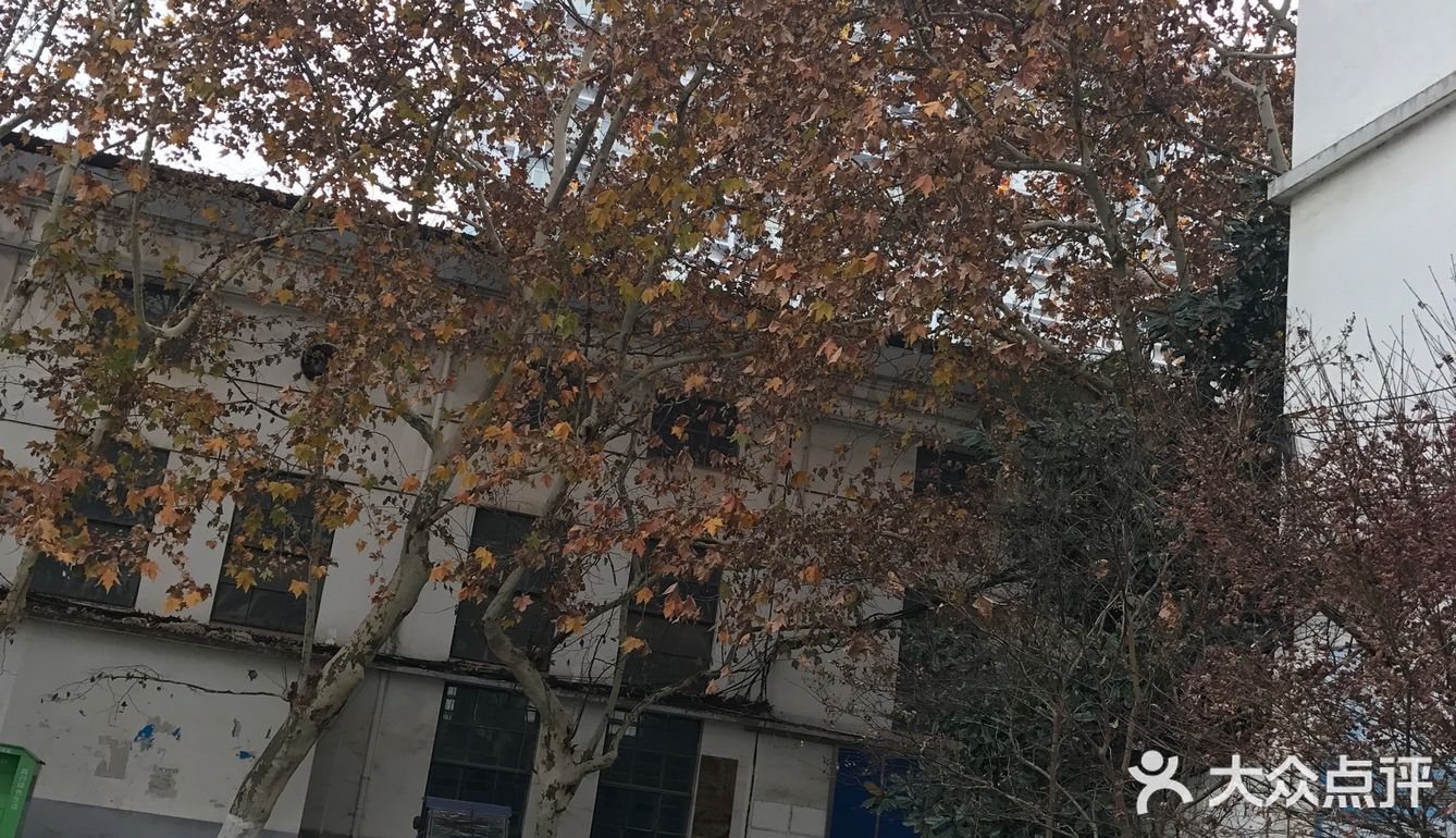 致敬我的大学校园