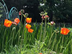 -国家植物园南园