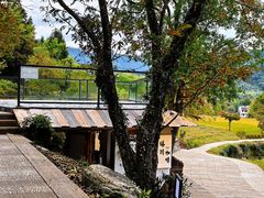 -塔川景区
