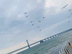 -星海广场