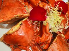 -国惠大酒楼(宝龙店)