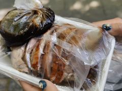 -巴子烤鸭