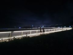 -野狸岛