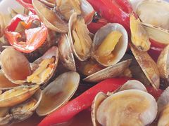 -西涌国际滨海旅游区