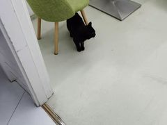 -北京恒爱动物医院(清景园分院)