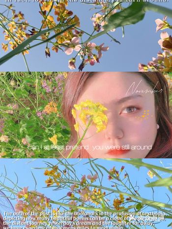 西安春游｜油菜花不止是黄色