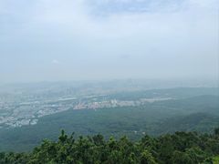 -紫金山山顶公园