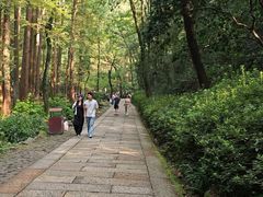 -宋宴(虎跑店)