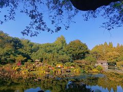 -杭州植物园