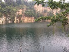 -武吉知马自然保护区