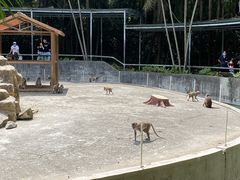 -广东茂名森林公园