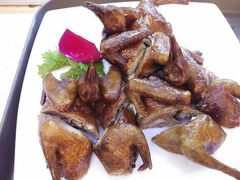 -锦粤宫·精致粤菜(深圳北站店)