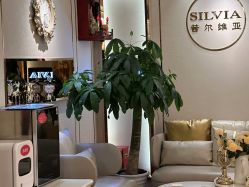 -茜尔维亚修身连锁(杨浦五角场店)