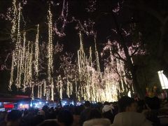 -大雁塔文化休闲景区-北广场