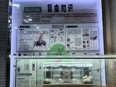 -上海大自然野生昆虫馆(东方明珠·爬宠昆虫探索中心)