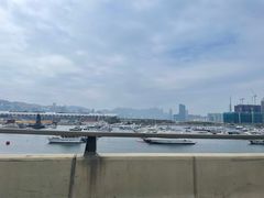 -海港城