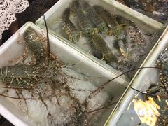 -拉威海鲜市场