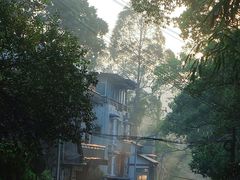 -南山植物园