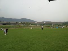 -光明小镇欢乐田园