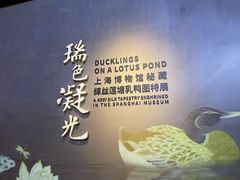 -上海博物馆(人民广场馆)