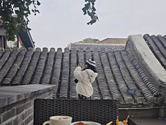 -自如ZSPACE四合院艺术餐厅