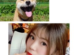 -新发展亚太JW万豪酒店·福苑咖啡厅