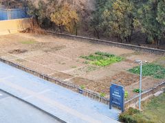 -延安杨家岭革命旧址