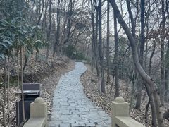 -大伊山景区