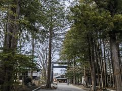 -北海道神宫