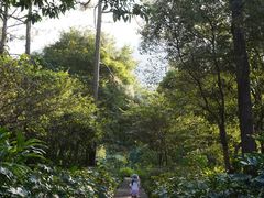 -福清灵石山国家森林公园
