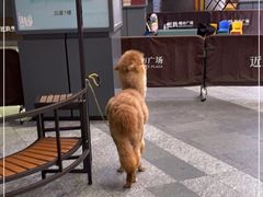 -1013 PET SHOP 宠物商店(近铁城市广场店)