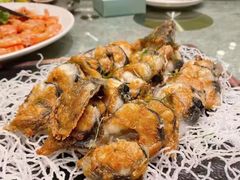 -老伙记海鲜码头(北滘店)