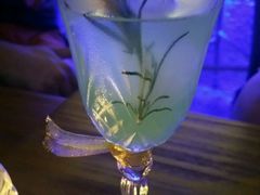 -Sirena海妖日咖夜酒