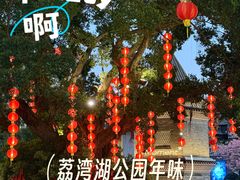 -荔湾湖公园