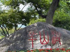 -羊山湖公园