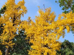 -沙河三洞古桥公园