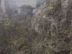 -王顺山国家森林公园