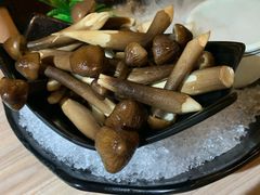-探窝·竹笙椰子鸡(杨箕店)