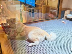 -大江户·温泉洗浴(浑南店)