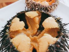 -海胆小馆(东北水饺·春柳店)